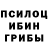 Галлюциногенные грибы мицелий Druosohim