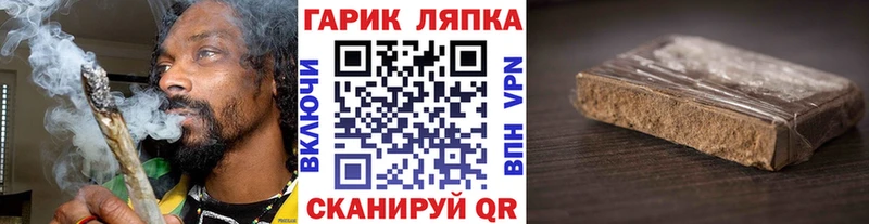 где купить   Богородск  ГАШ Premium 