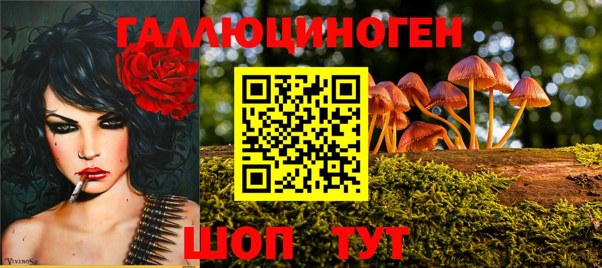 Галлюциногенные грибы Psilocybine cubensis  Вход с VPN  купить закладку  Богородск 
